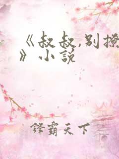 《叔叔,别撩我》小说