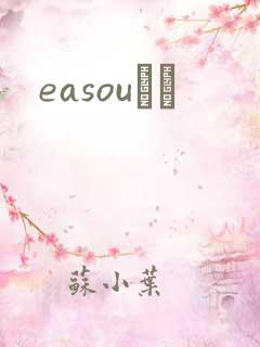 easouС˵