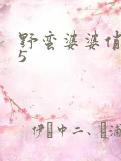 野蛮婆婆俏媳妇5