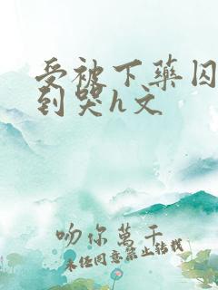 受被下药囚禁脔到哭h文