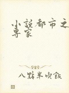 小说都市之军火专家