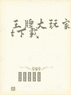 王牌大玩家txt下载