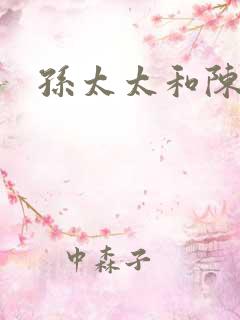 孙太太和陈阿姨