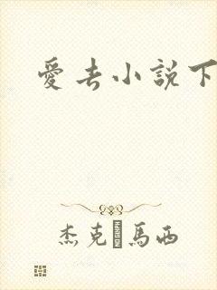 爱去小说下载网