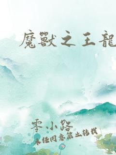 魔兽之王龙傲天