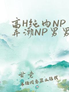 高H纯肉NP 弄潮NP男男