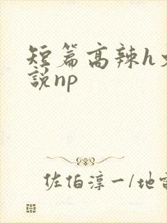 短篇高辣h文小说np