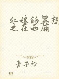 红娘的异想世界之在西厢