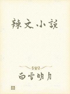 辣文小说