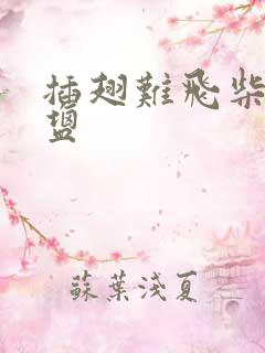 插翅难飞柴米油盐