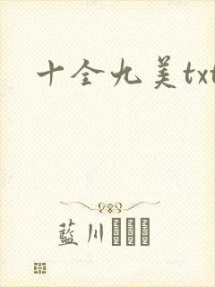 十全九美txt