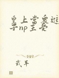 皇上当众进入太子np主受