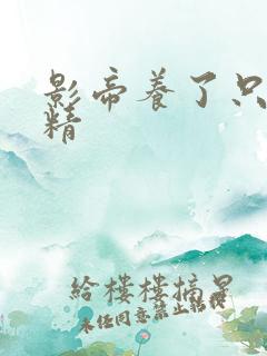 影帝养了只兰花精