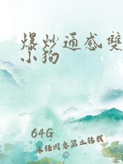 爆炒通感双胞胎小狗