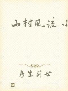 山村风流 小说