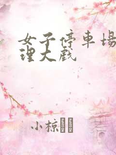 女子停车场现伦理大戏