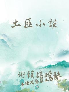 土匪小说