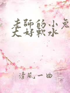 老师的小兔子好大好软水