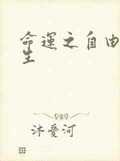 命运之自由的新生