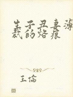 生子丑妻薄情总裁的烙痕