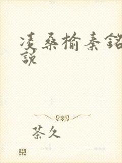 凌桑榆秦铭畅小说