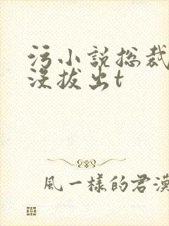 污小说总裁整夜没拔出t