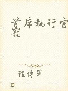 首席执行官的绝宠