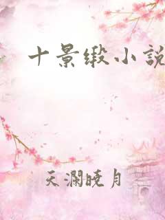 十景缎小说