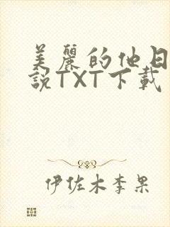 美丽的他日剧小说TXT下载