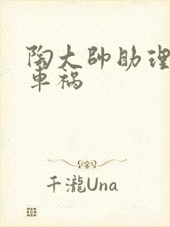 陶大帅助理子豪车祸