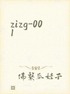 zizg-001