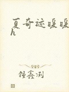 夏奇迹暖暖快穿h