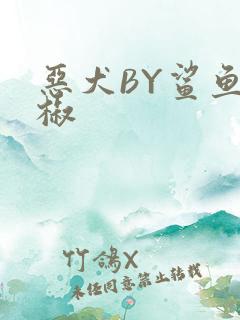 恶犬BY鲨鱼辣椒