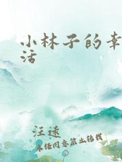 小林子的幸福生活