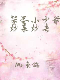 笨蛋小少爷又被炒来炒去