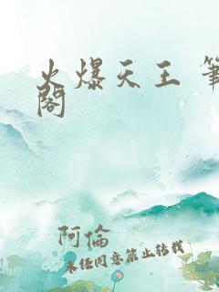 火爆天王 笔趣阁