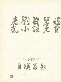 老刘日儿媳妇张岚小说免费阅读