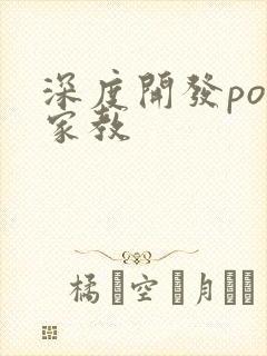 深度开发pop家教