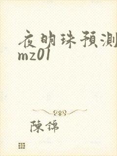 夜明珠预测 ymz01
