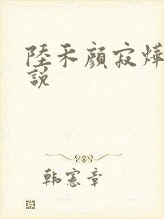 陆禾颜寂烨霖小说