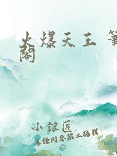 火爆天王 笔趣阁