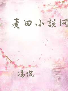 麦田小说网