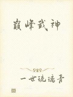 巅峰武神