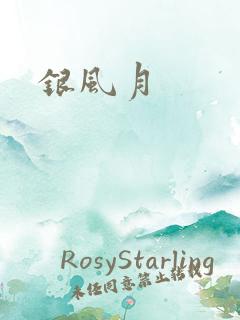 银风月