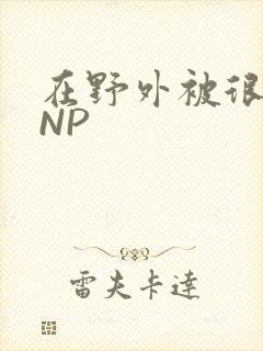 在野外被很多人NP