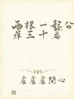 两根一起公憩止痒三十篇