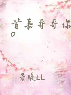 首长哥哥你好po