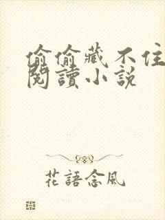 偷偷藏不住免费阅读小说