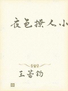 夜色撩人小说