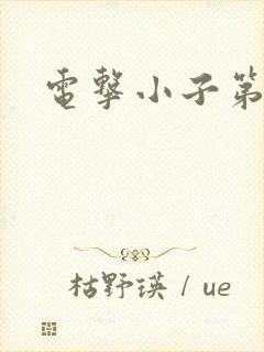 电击小子第二部